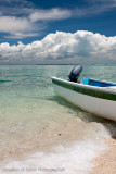 Turtle Island-_MG_6381.jpg