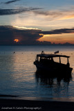 Turtle Island-_MG_6407-1.jpg