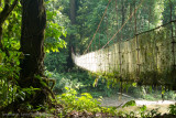 Danum Valley-_MG_7647.jpg