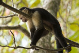 Costa Rica-102.jpg