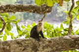 Costa Rica-71.jpg