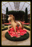2005 Christmas at Phipps Conservatory