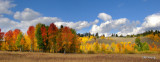 Teton Color panorama.JPG