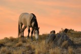 The Guardian at sunset