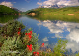 Indian Paintbrush at the lake