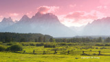 teton pano with fence and pink.jpg