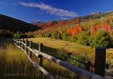Fence and fall color.jpg