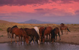 Fading light at the Waterhole