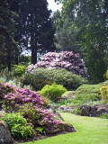 Royal Botanic Garden  -  Edinburgh