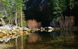 IMG_2715.jpg