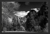 IMG_8921.jpg