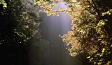 IMG_0059.jpg