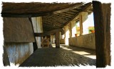 IMG_4796.jpg