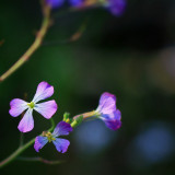 IMG_8694.jpg