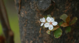 IMG_5400.jpg