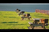 IMG_6096.jpg