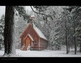 IMG_6336.jpg