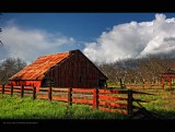 IMG_6592.jpg