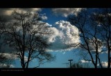 IMG_6636.jpg