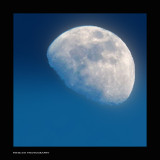 IMG_6880.JPG