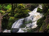 IMG_7159.jpg