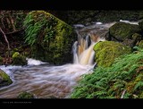 IMG_7223.jpg