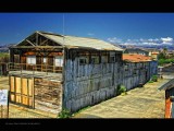IMG_8637.jpg