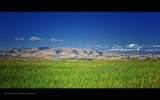 IMG_8649.jpg