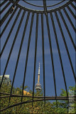 IMG_6646.jpg