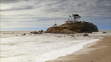 IMG_8573.jpg