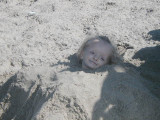Lexi buried in sand