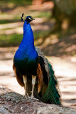 Parc du Chateau de Sauvage _018.jpg