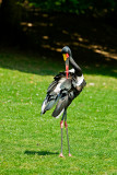 Parc du Chateau de Sauvage _040.jpg