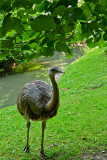Parc du Chateau de Sauvage _042.jpg