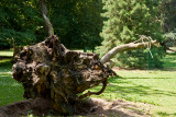Parc du Chateau de Sauvage _045.jpg