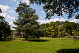 Parc du Chateau de Sauvage _046.jpg