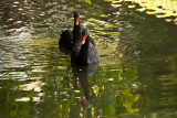 Parc du Chateau de Sauvage _048.jpg