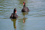Parc du Chateau de Sauvage _049.jpg
