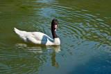 Parc du Chateau de Sauvage _055.jpg