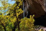 43 Emerald Pools Waterfall