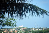 MIRANTE   BOA    DSCF4096.JPG