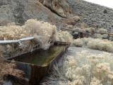 Cave Spring