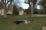 DSC_3940 Tables Livingsland 2006  Domaine du chateau dAvignon.jpg