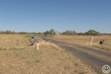 DSC_6858 Diamantina causeway on the Outback Way.jpg