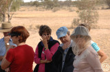 DSC_8682 Strzelecki track lunch stop.jpg