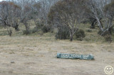 DSC_6379 Dead Horse Gap NSW.jpg
