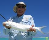 big christmas island bonefish