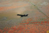 red soil western australia