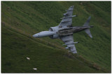 Harrier T12
