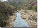 River Manifold  at Grindon